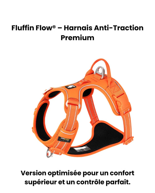 Fluffin Flow® – Harnais anti-traction ajustable & respirant pour chien